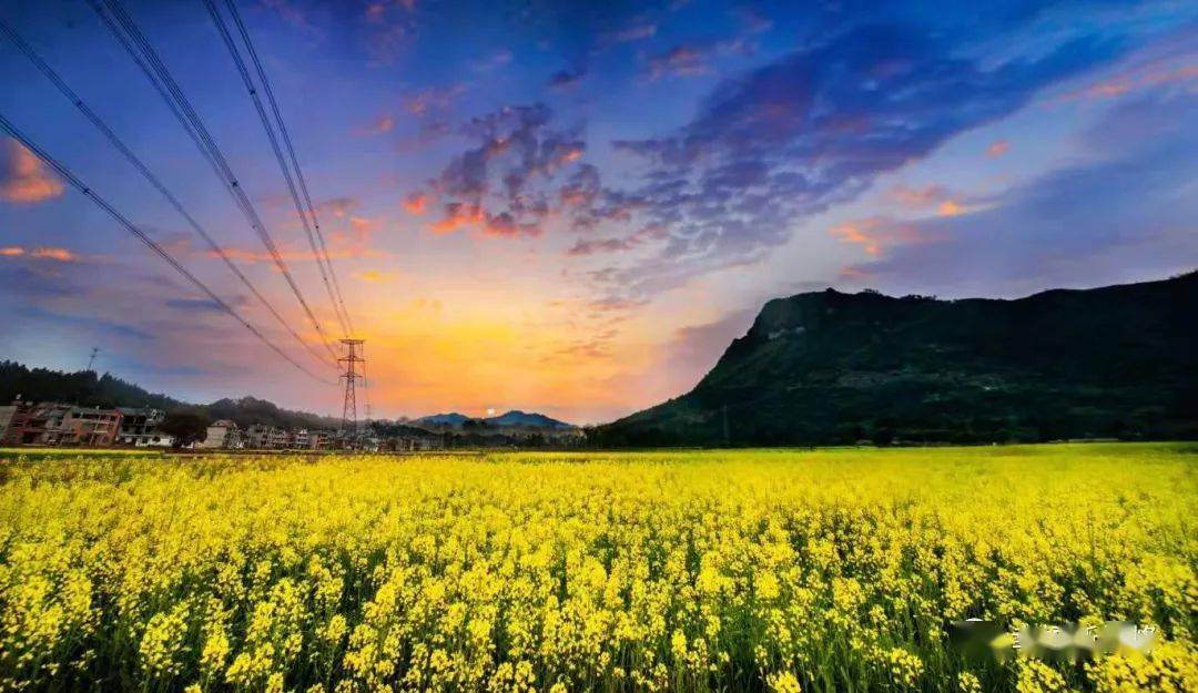 【媒体看横峰】"海"了去!横峰美景惹人醉