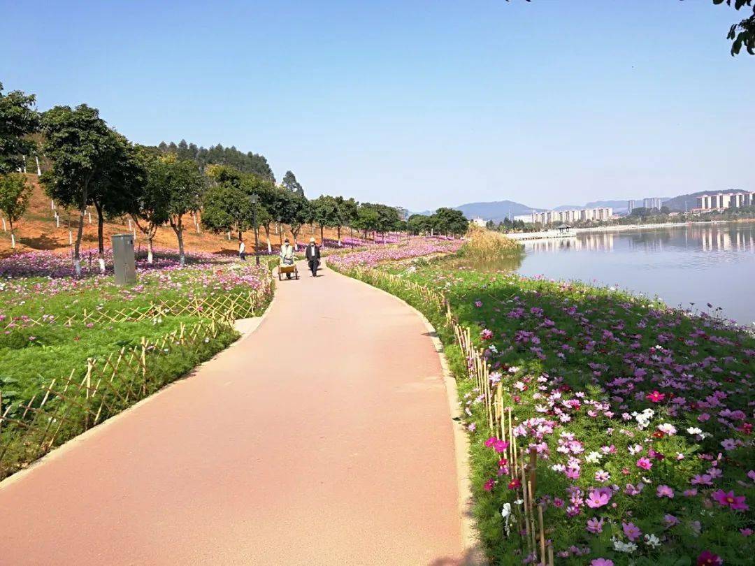 花式打卡增城这些公园太惊艳了