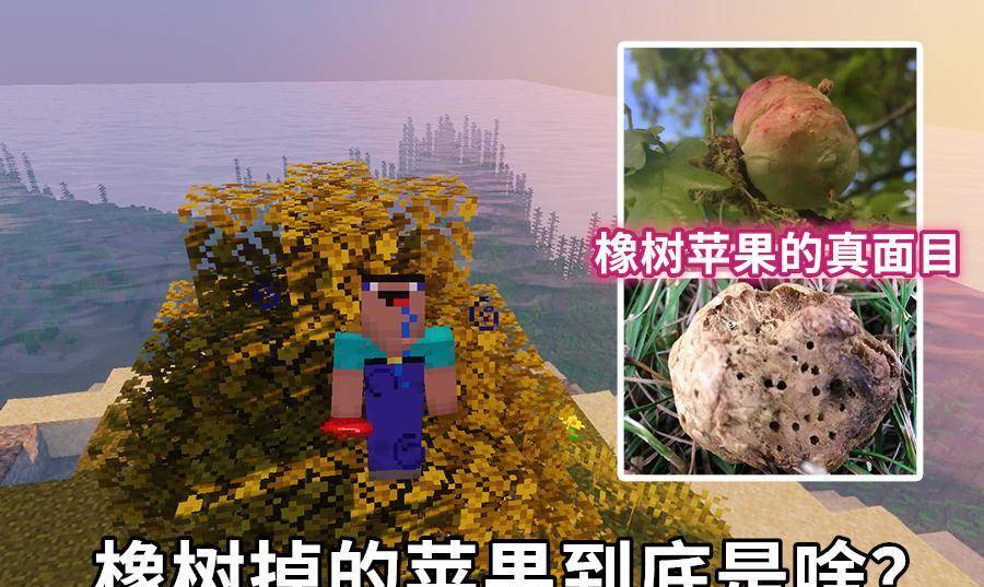我的世界:mc大猜想,末影人由村民演化,橡树掉苹果来源于现实