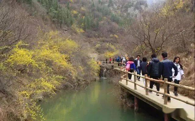 擴散丨青州泰和山黃花溪景區天緣谷景區2021年開園公告