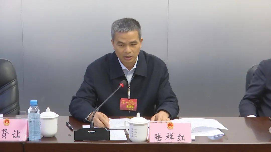 图|市人大常委会副主任,县委书记陆祥红发言.