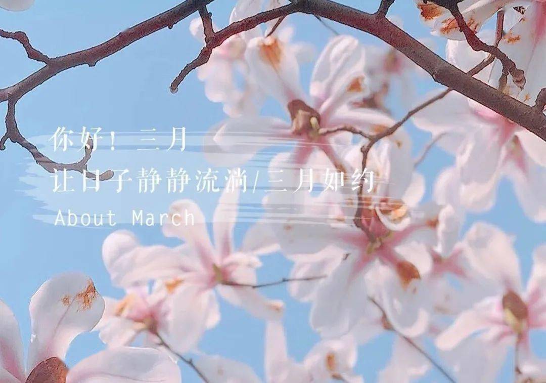 三月心怀暖阳笑迎春光