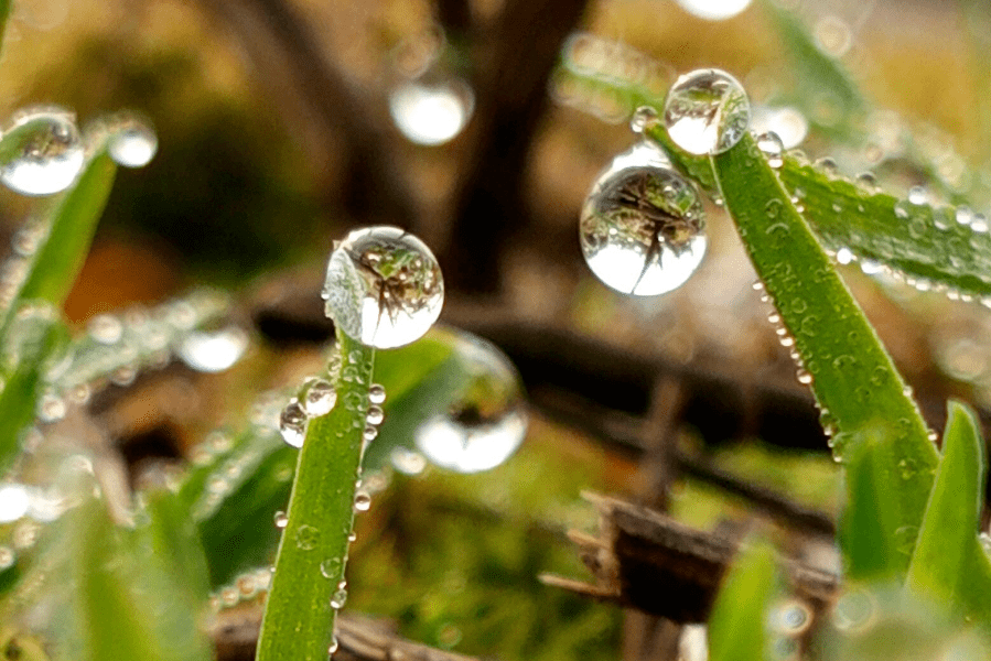 惊蛰春雷响万物长