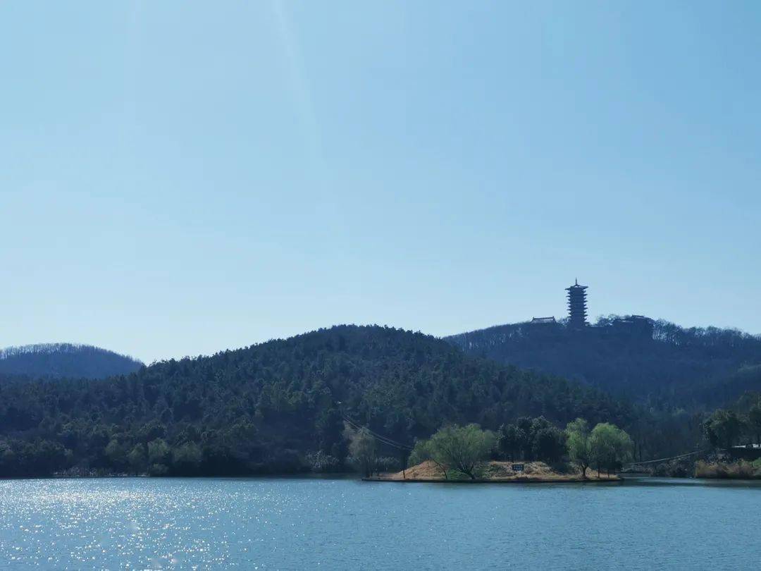 藏不住了私藏已久的肥西最美打卡地拍照踏青两不误春天的美都在这里