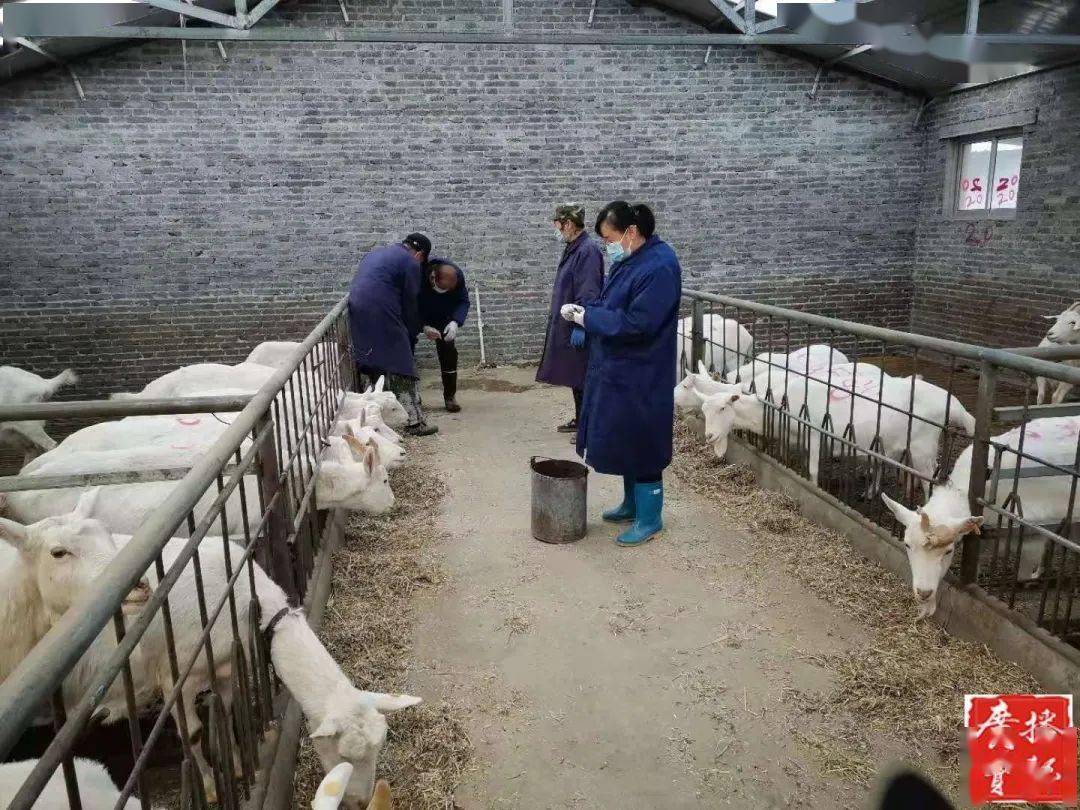 陇县人口多少_陇县社火图片(3)