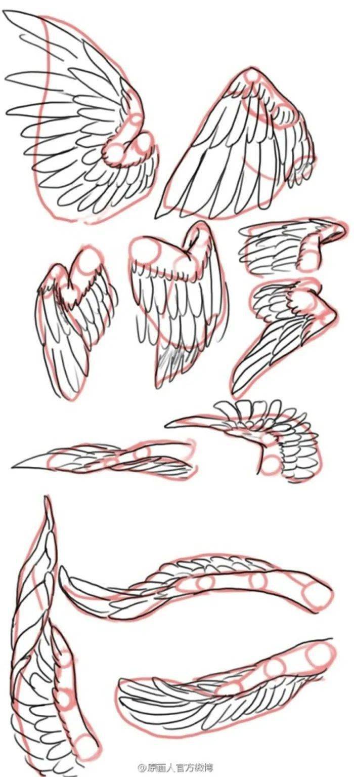 手绘简单教程:翅膀的画法