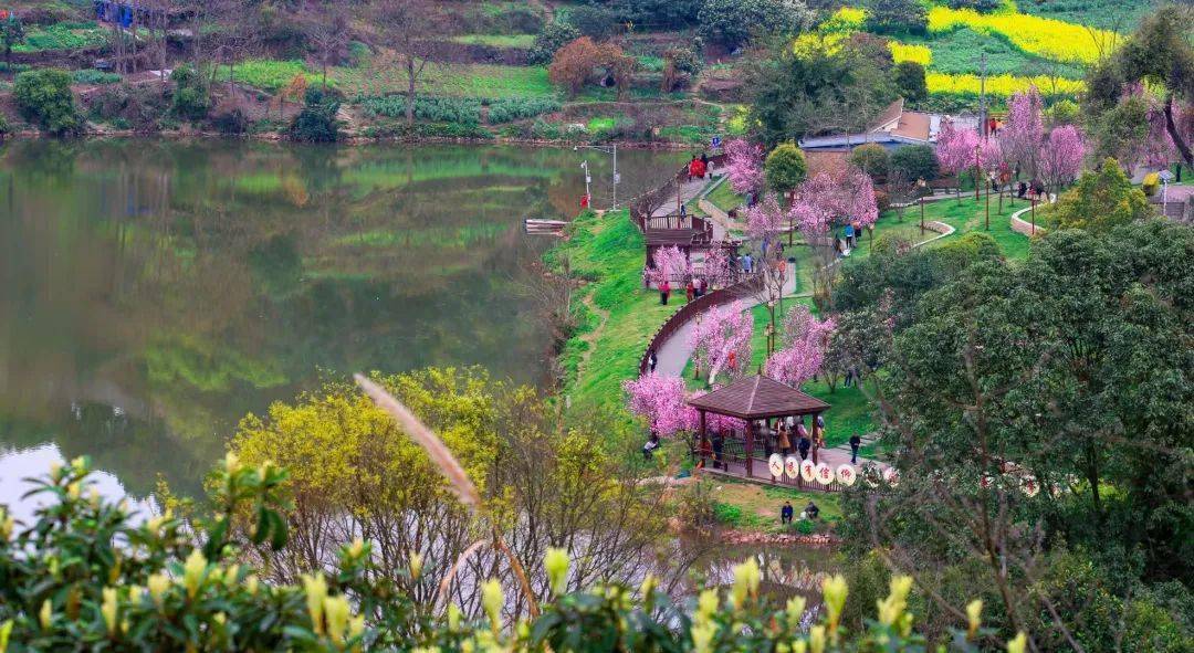 旅游局在"桃花"这张特色名片上下功夫,做文章,精心组织策划了"2021四