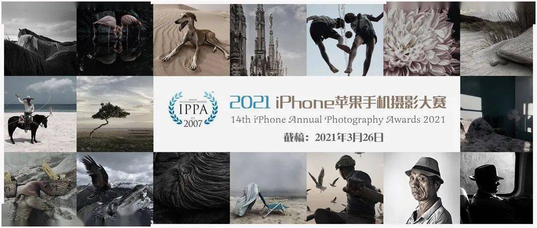 iPad|2021年苹果手机（IPPA）摄影大赛征稿启事（截稿：3月26日）