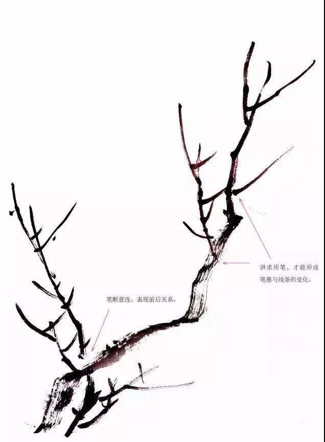 图文教程:彩墨梅兰竹菊画法之梅花!