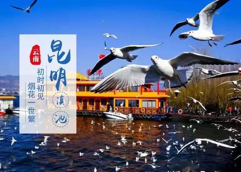 莫负好春光云南双飞六天纯玩游