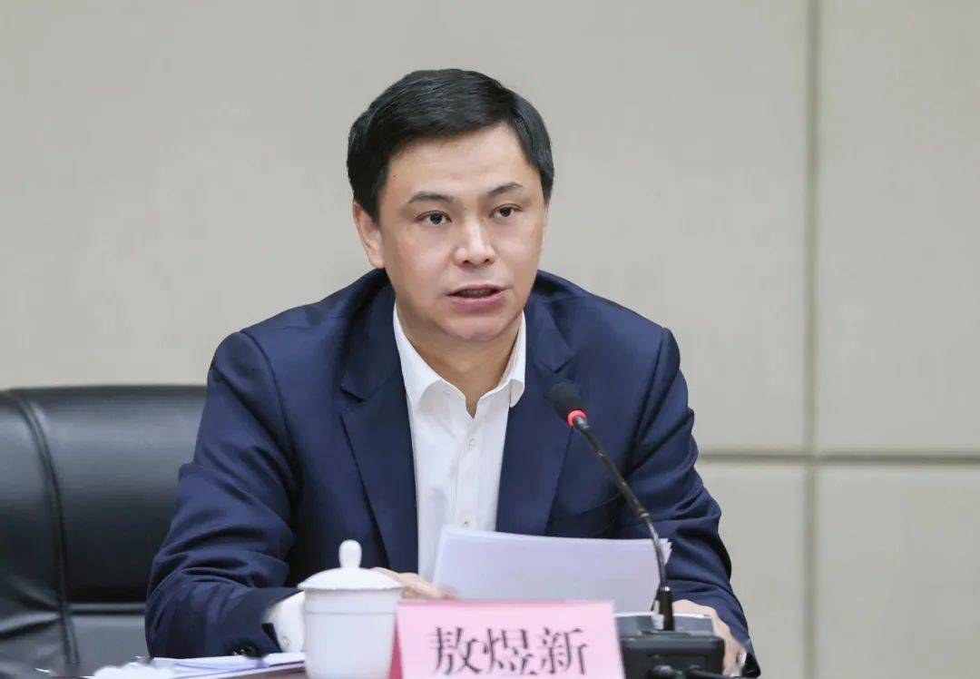 县委书记敖煜新主持会议并讲话,王波,杨明连,张林华,陈健等县四套班子