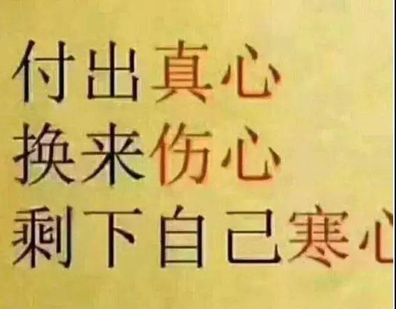 最近微信抖音上都很火的心情句子