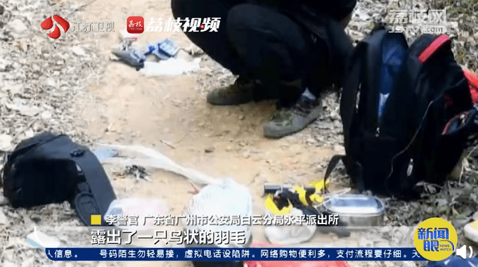 主播为卖弹弓拍摄打鸟视频被拘！