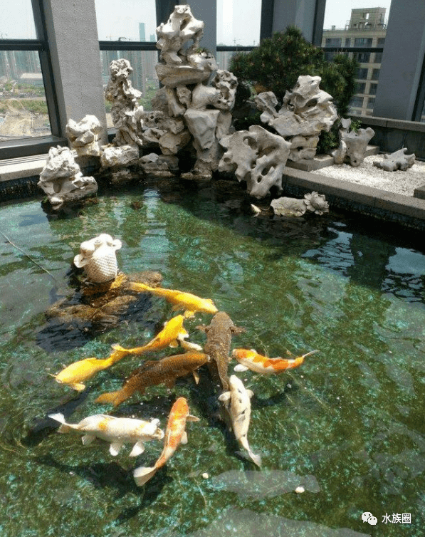 这个建在22楼上的高层锦鲤池光过滤就有13米高