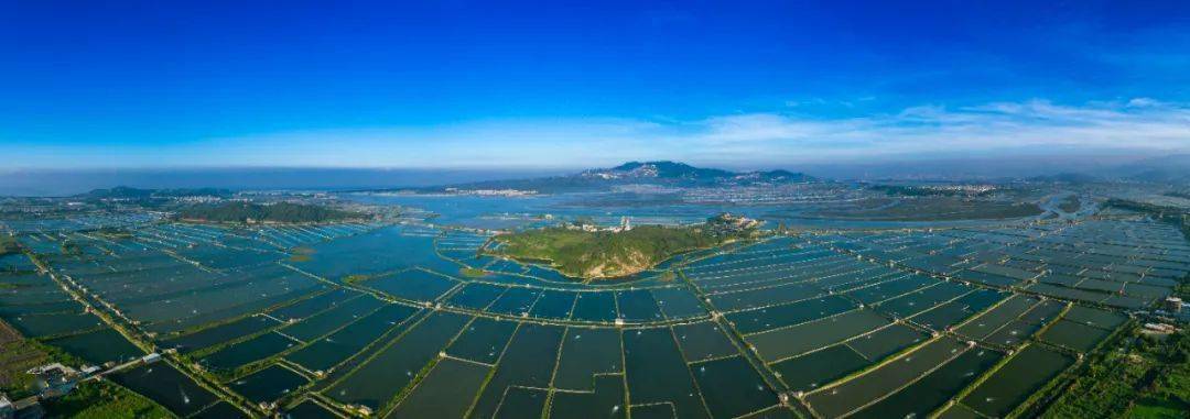 养虾人,越来越不容易!_虾池