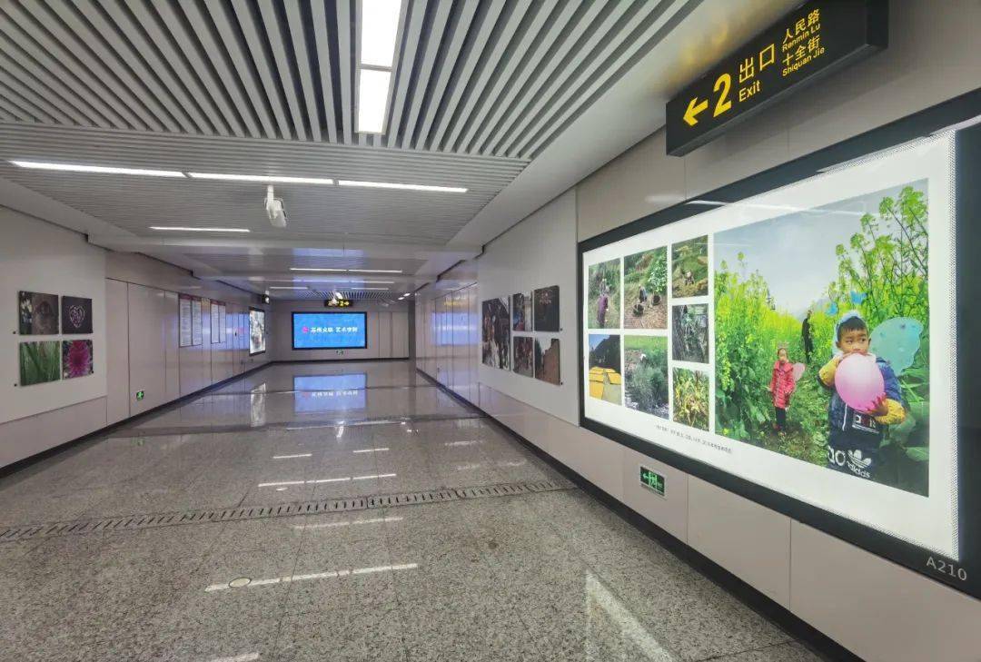 在三元坊地铁站展出有一场名为"山娃·象"的公益摄影展从去年12月底