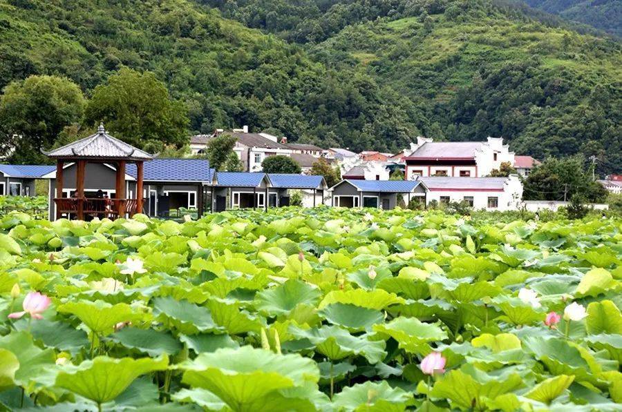 石泉实施五个一推进乡村振兴