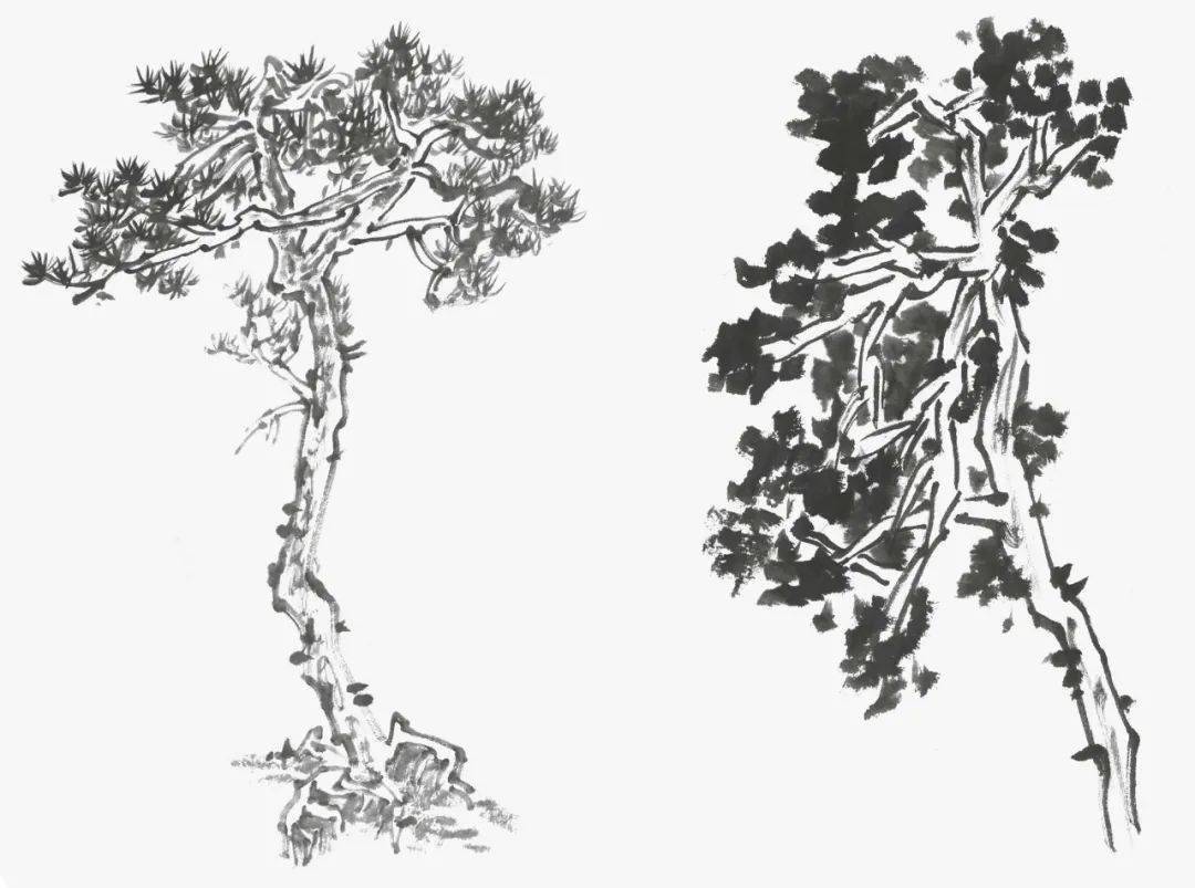 图文教程近中远景树木画法步骤