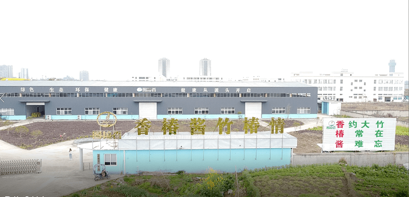 的厂房内,一派忙碌的景象,工作人员各司其职,正在对香椿进行打包封箱