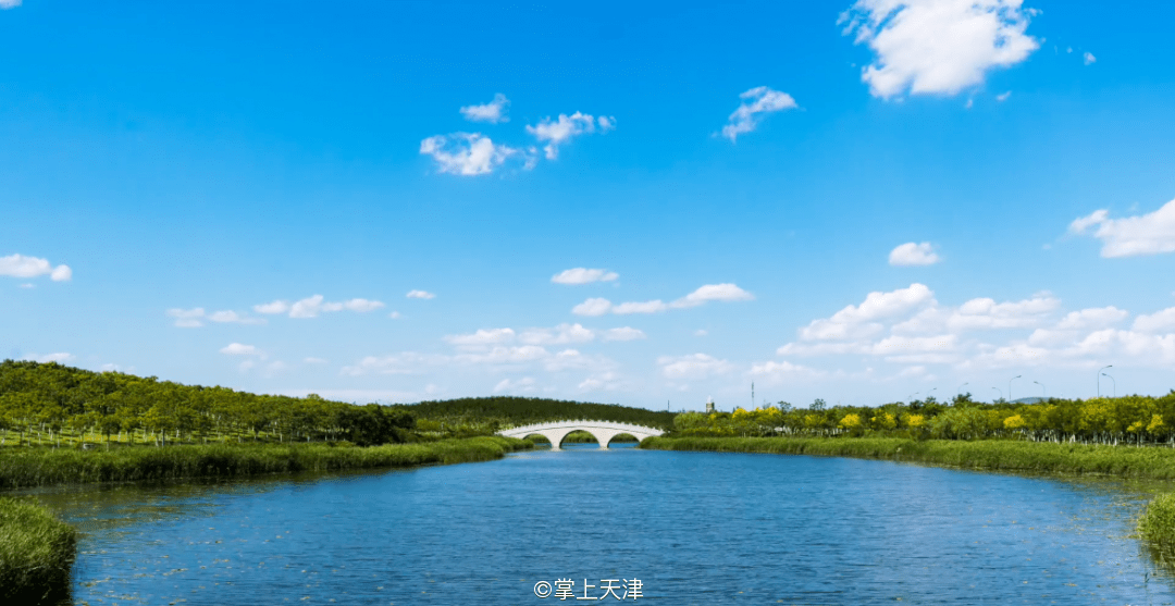 津南区,天津市低调的"王者"!_咸水沽