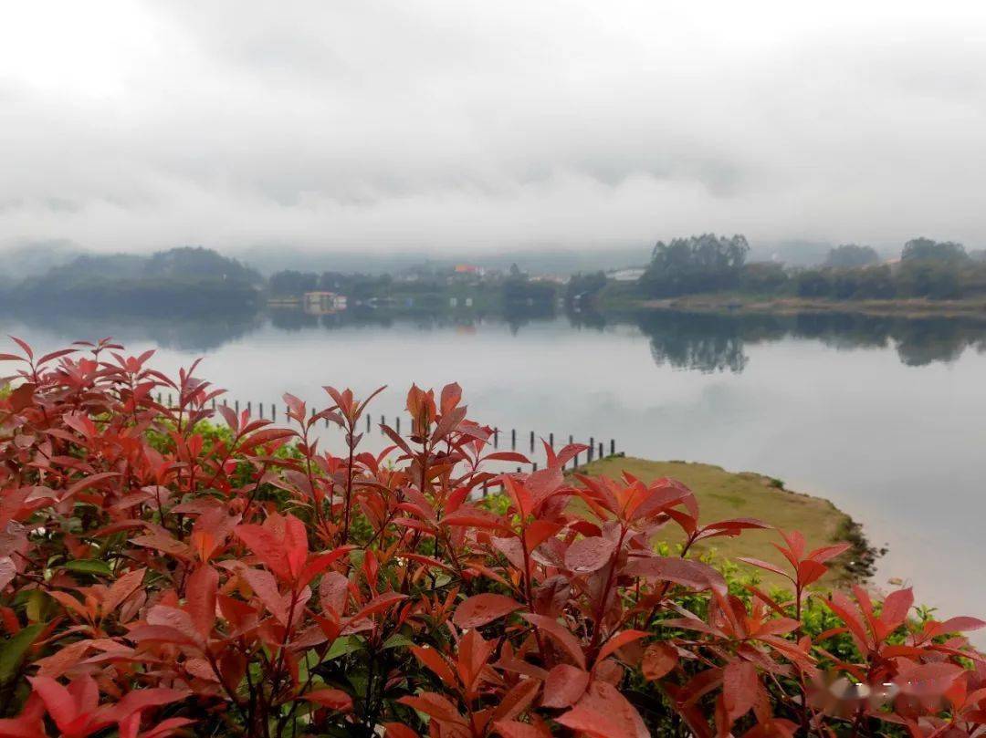 昭平桂江已进入最美时期春雨蒙蒙桂江烟雨观景