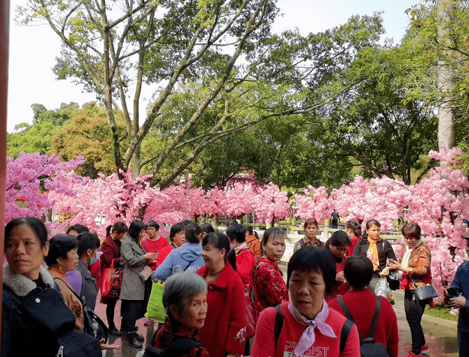 出游丨女神节前夕 兴业鹿峰山·龙泉洞景区迎来游客高峰!