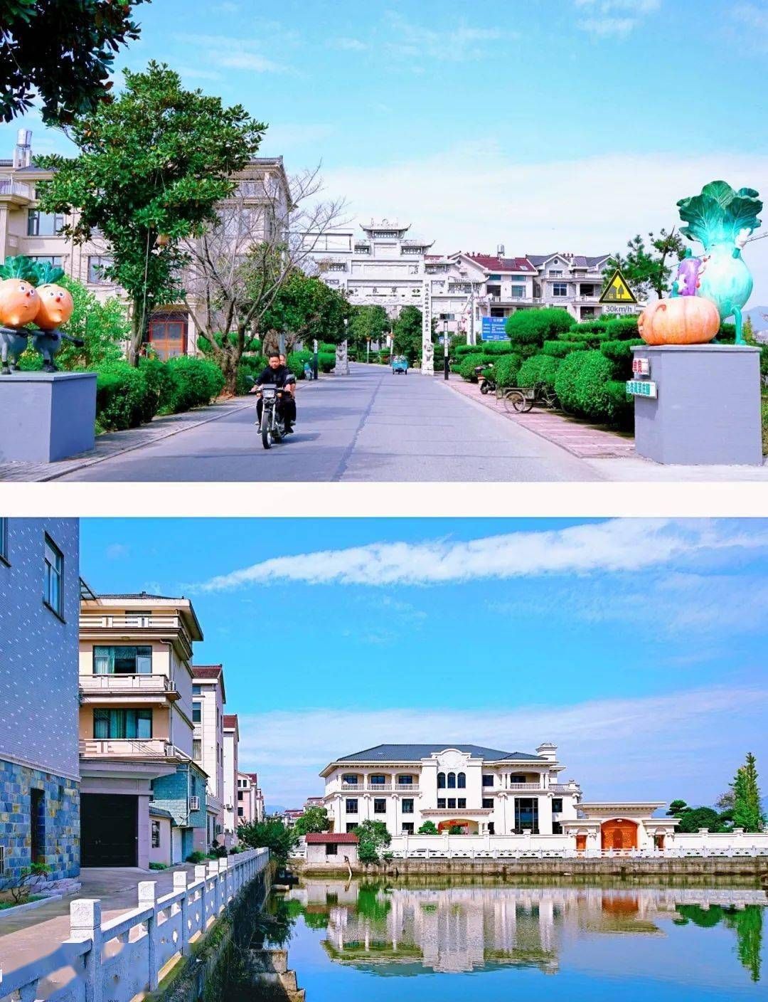 除了蔬菜基地,近年来单良村在培育产业发展,推动乡村振兴上积极探索