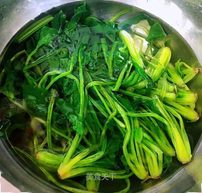 什么时间种小葱香菜 3c53837ec38c4c23bd4e8222ed28dcd1.jpeg