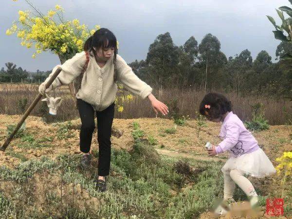 【三八节·她故事】生活一地鸡毛,她却捡起来扎成鸡毛掸子