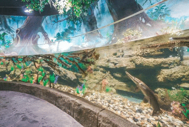 租吸氧机怎么收费¥699起睡云端凯悦酒店，打卡上海最美图书馆&网红剧院！_https://www.jmylbn.com_新闻资讯_第15张