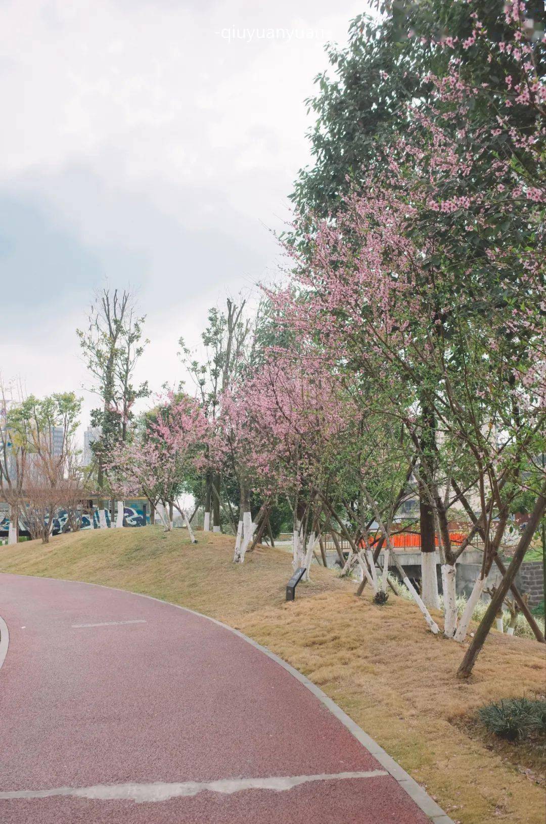 " 周边耍法推荐:杉板桥公园 "