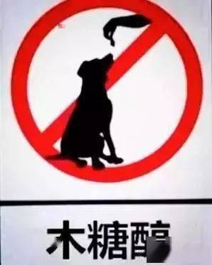狗狗偷吃蛋糕後死亡，獸醫：死因不是巧克力，而是木糖醇！ 萌趣萌寵 第7张