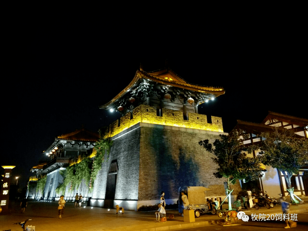 东台力蕴新材料公司违法遭罚143万 资本金结