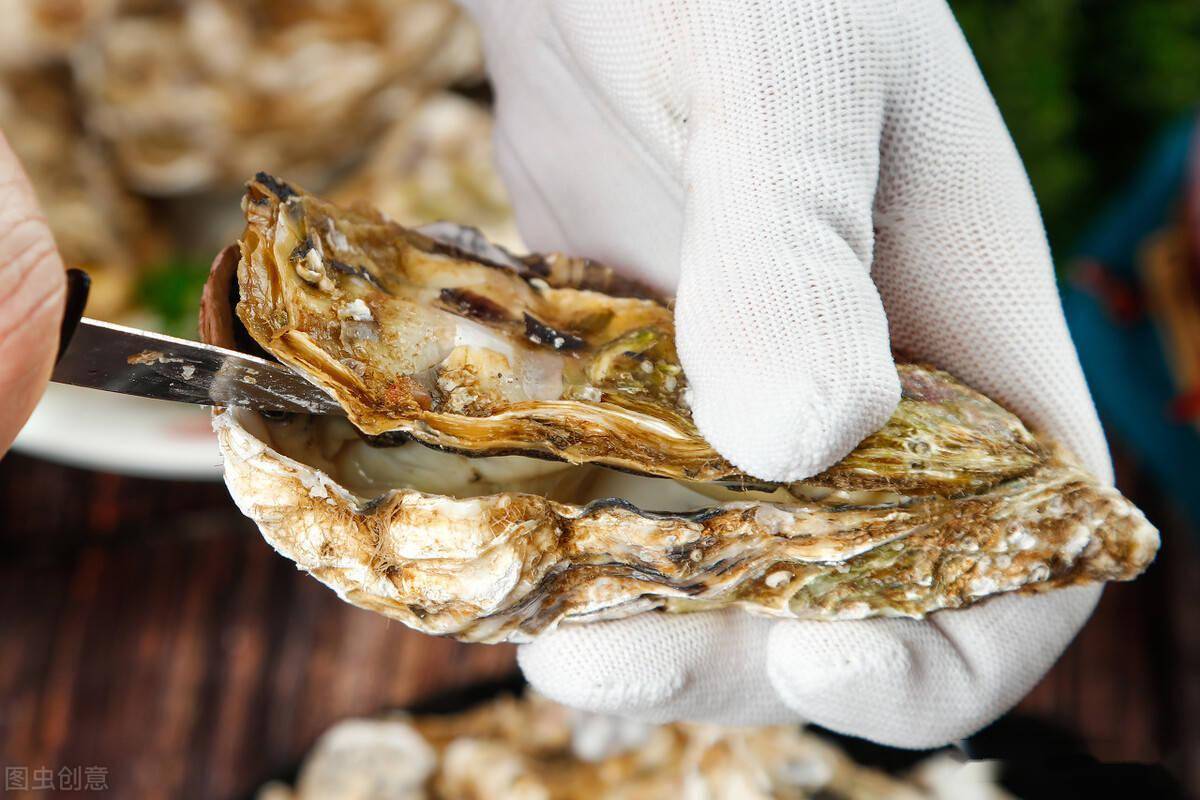 开春过后,3种海鲜正当季,味道鲜美价格实惠,内行人别错过_扇贝
