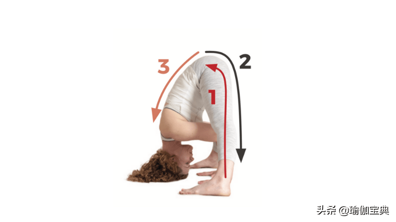 创造魅力身材最全瑜伽扭转序列滋养脊柱美丽心灵20个体式