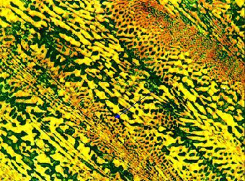 过共晶白口铸铁室温组织为:一次渗碳体(fe3c) 低温莱氏体(ld)