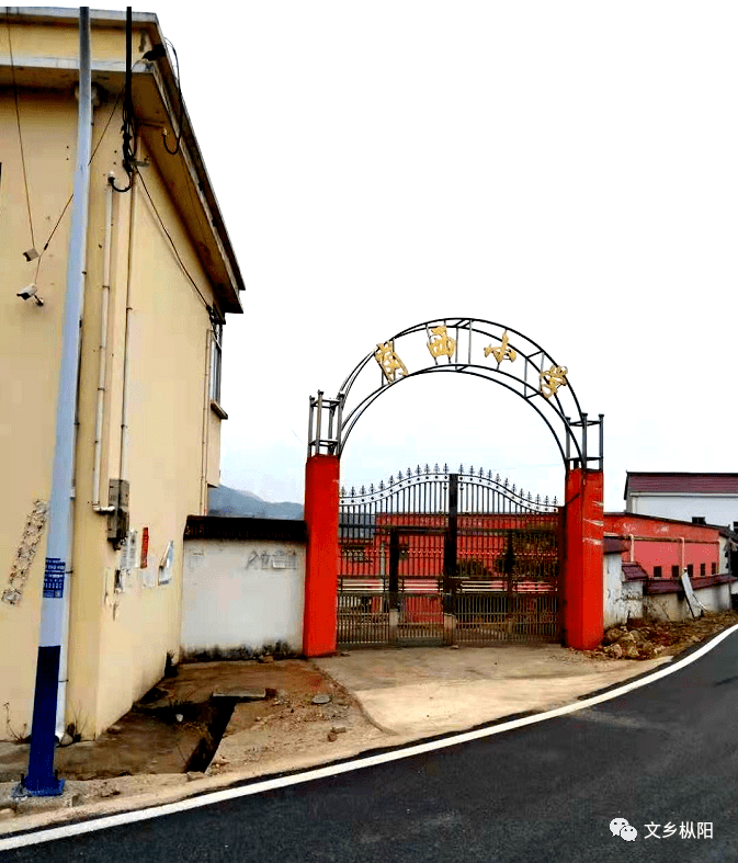 岗西小学我的母校