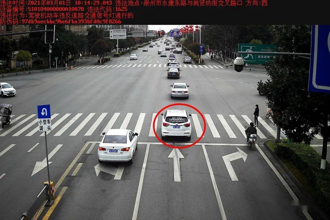 怎么举报车辆闯红灯 ec9c5f685b0243438a67b2a4cfcc8663.jpeg
