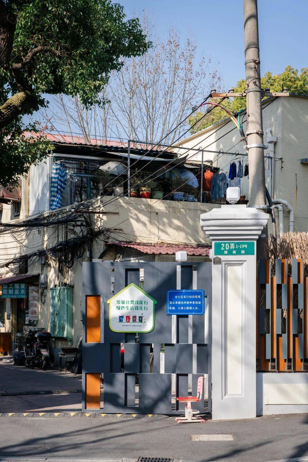 梧桐树下的湖南路,藏着说不完的故事!