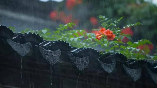 鄒謇夜雨聲聲蛙橫塘,莫教風急上東牆,明朝花木盡成泥,不見瓊肌再透