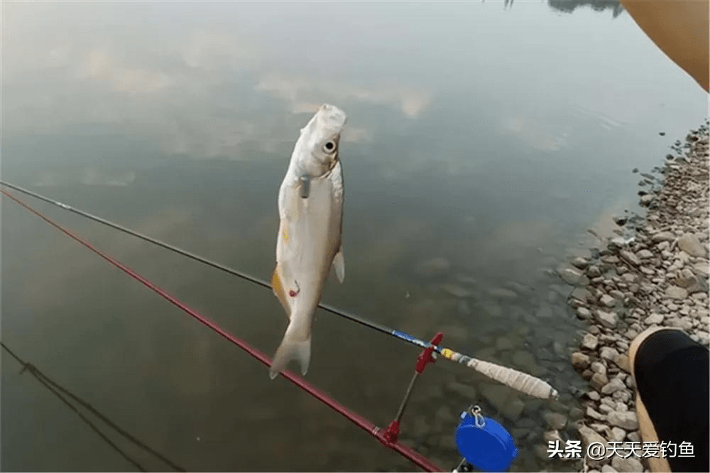 80d0ba5166ab4856801d9769d2e3b299.png