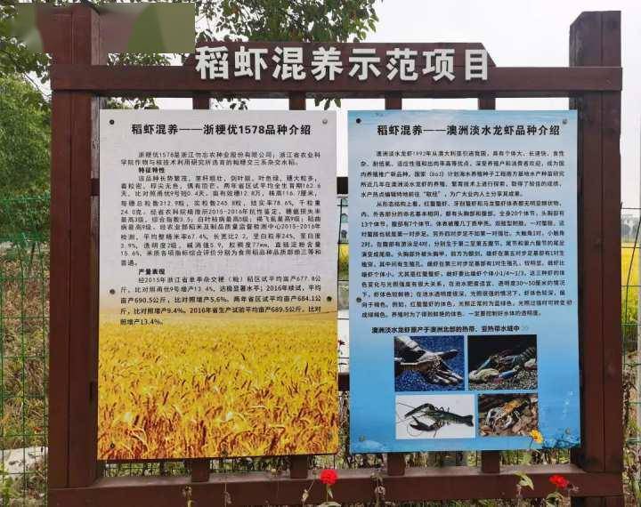 杭州长达养殖 杭州养殖业基地