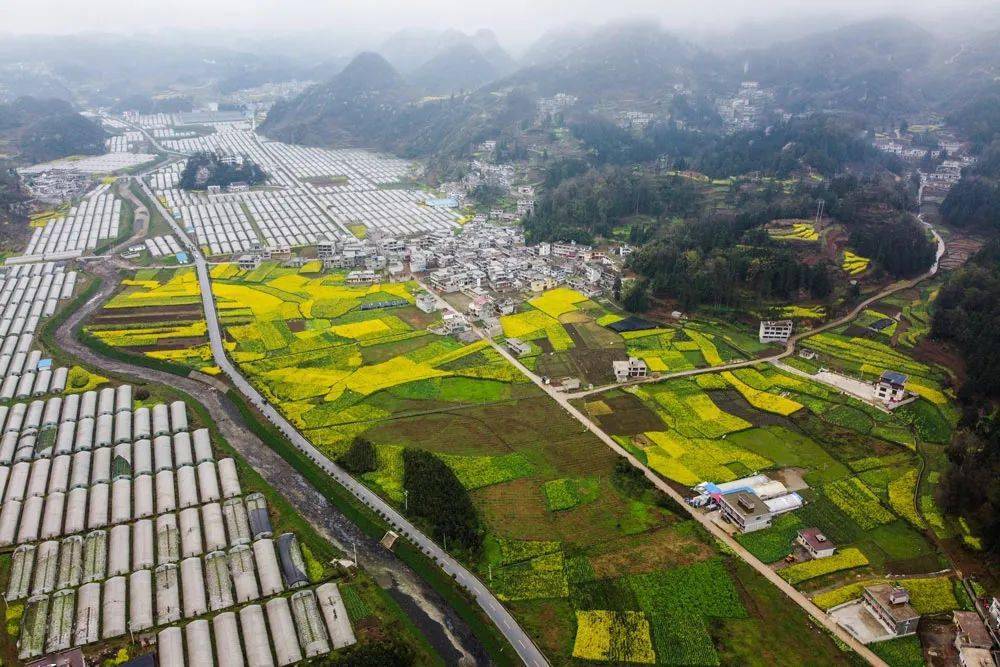 马场镇人口_织金马场镇中心村(3)