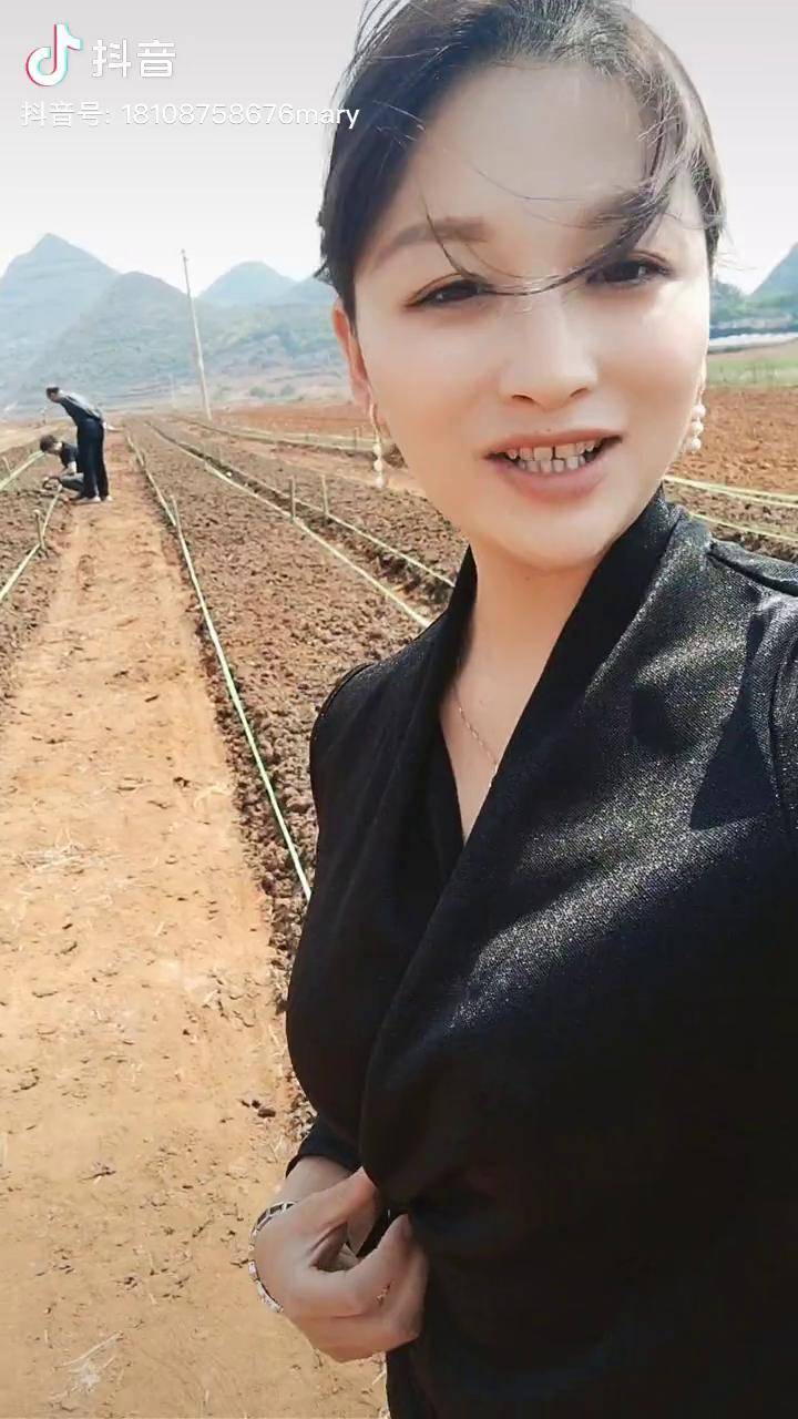 丘北蚯蚓基地铺设苗床完毕明天早上会泽基地来不来云南蚯蚓养殖