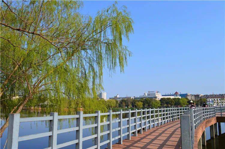 扩建后的玉龙公园里,一片生机盎然_清岸绿