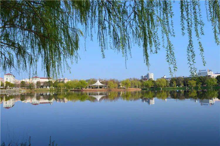 扩建后的玉龙公园里,一片生机盎然