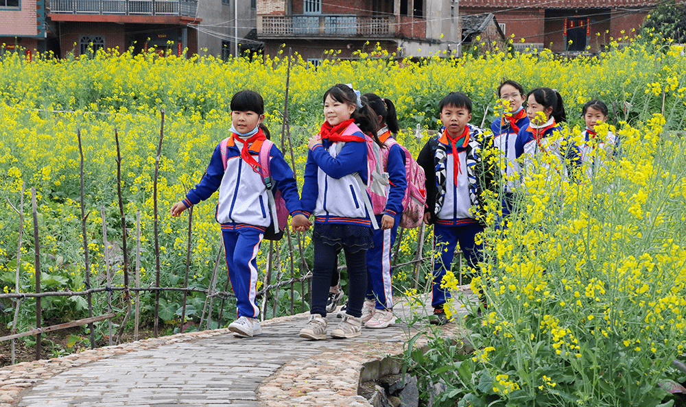 放学了,附近学校的学生们也三五成群,走过油菜花田,饱览春的美景再