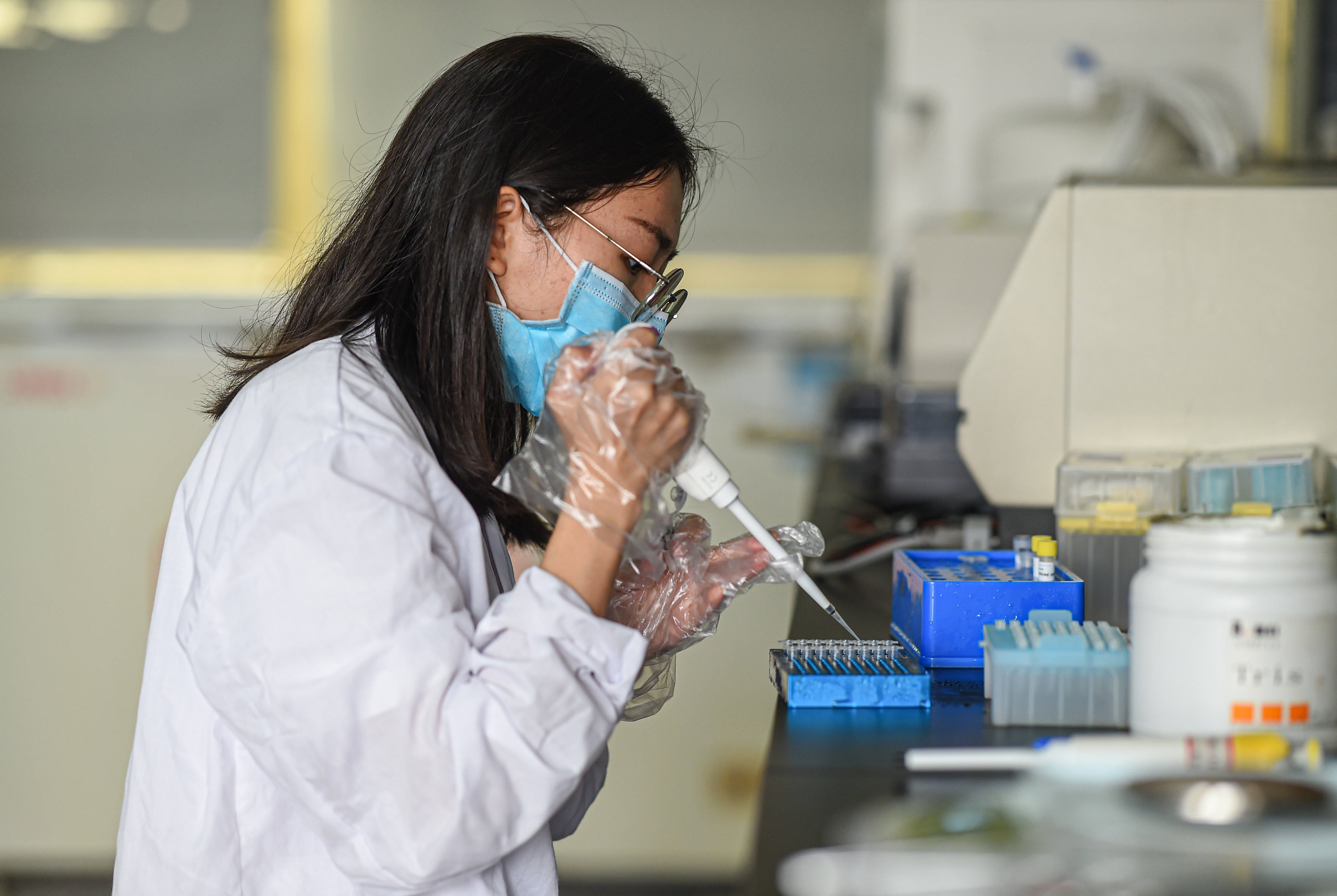 3月11日,中国热带农业科学院椰子研究所的科研人员在海南文昌的实验室