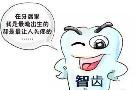 智齿 拔还是不拔 牙齿