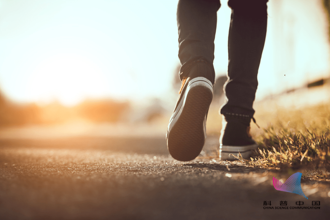 越抠门越长寿？竟然是真的：尤其在这4个地方，好处这么多…